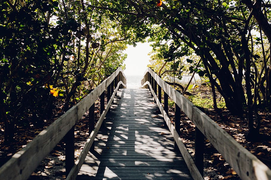 beach, bridge, path, boardwalk, daylight, guidance, shadow, tree HD wallpaper