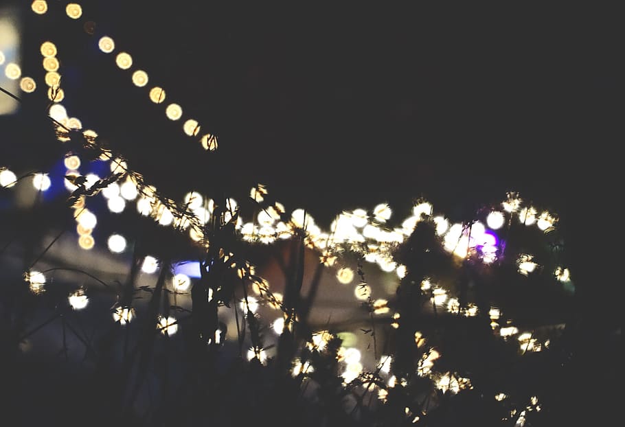 string lights, night, dark, illuminated, lighting equipment HD wallpaper