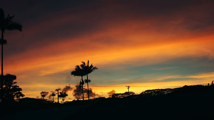 silhouette of tree under blue sky, sunset, trees, clouds, red HD wallpaper