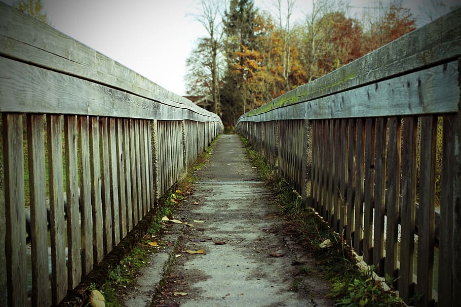 photo of a brown wooden ladder, bridge, web, away, path, decision HD wallpaper