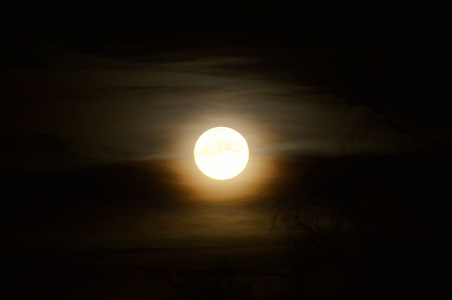 moon, moonlight, atmosphere, mystical, mood, gloomy, full moon HD wallpaper