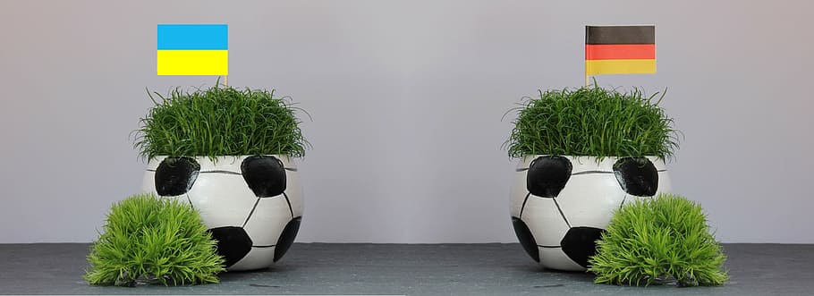 two green grass on soccer ball pots, 2016, football, tournament, HD wallpaper