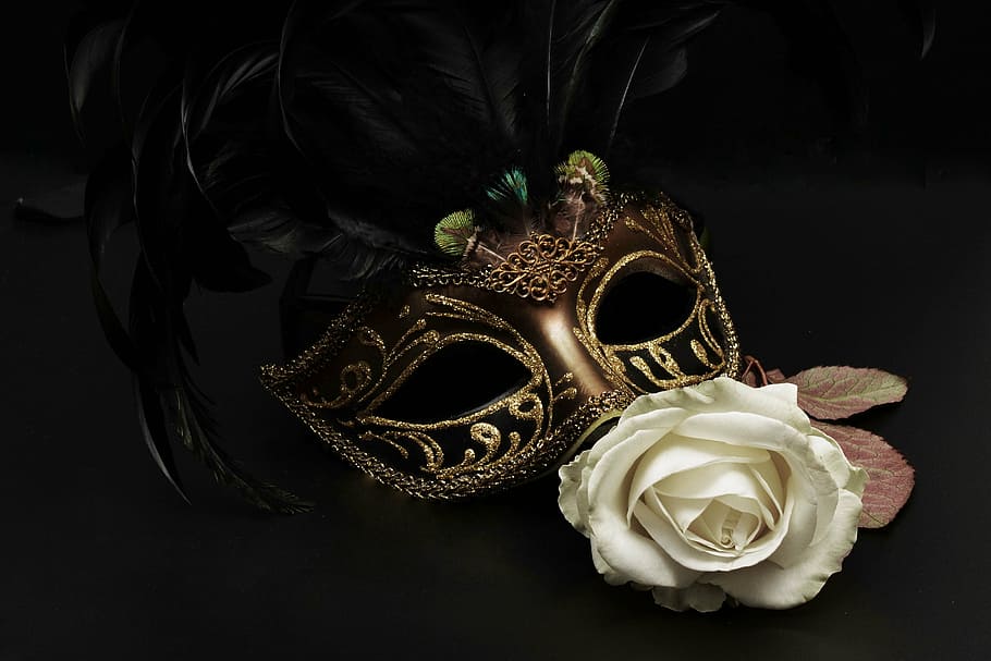 white rose near brown masquerade, mask, carnival, venice, mysterious