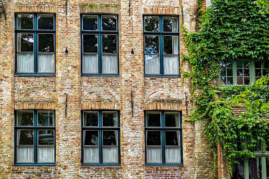 building, facade, brick, ivy, architecture, bruges, brugge HD wallpaper