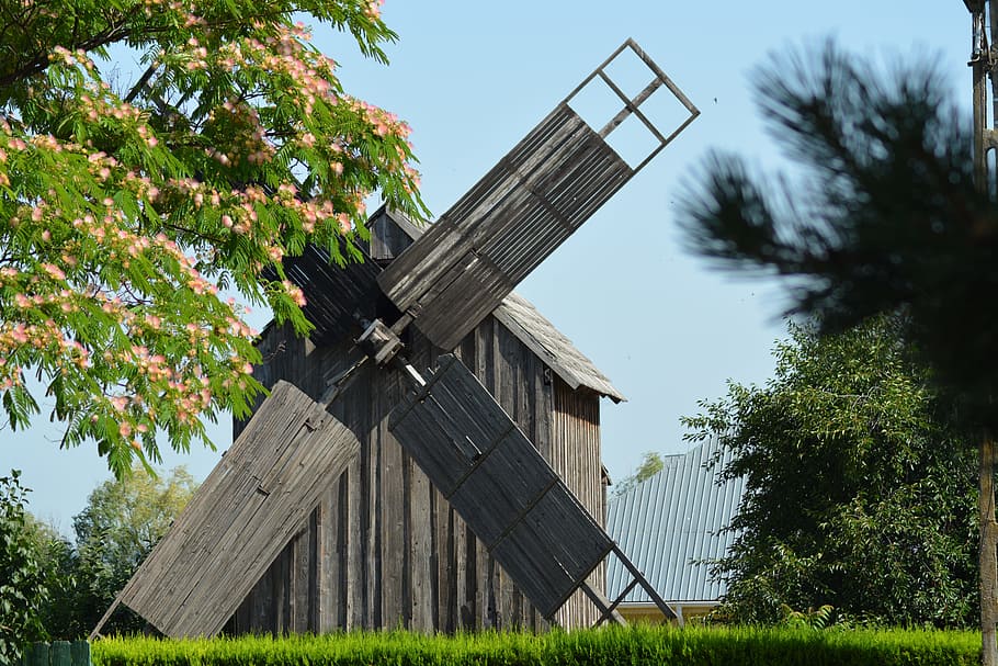 mill, spring, nature, plant, tree, sky, architecture, renewable energy HD wallpaper