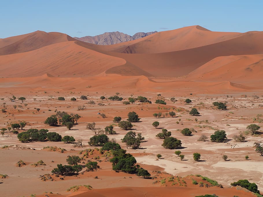 namibia, sossusvlei, desert, landscape, scenics - nature, climate HD wallpaper
