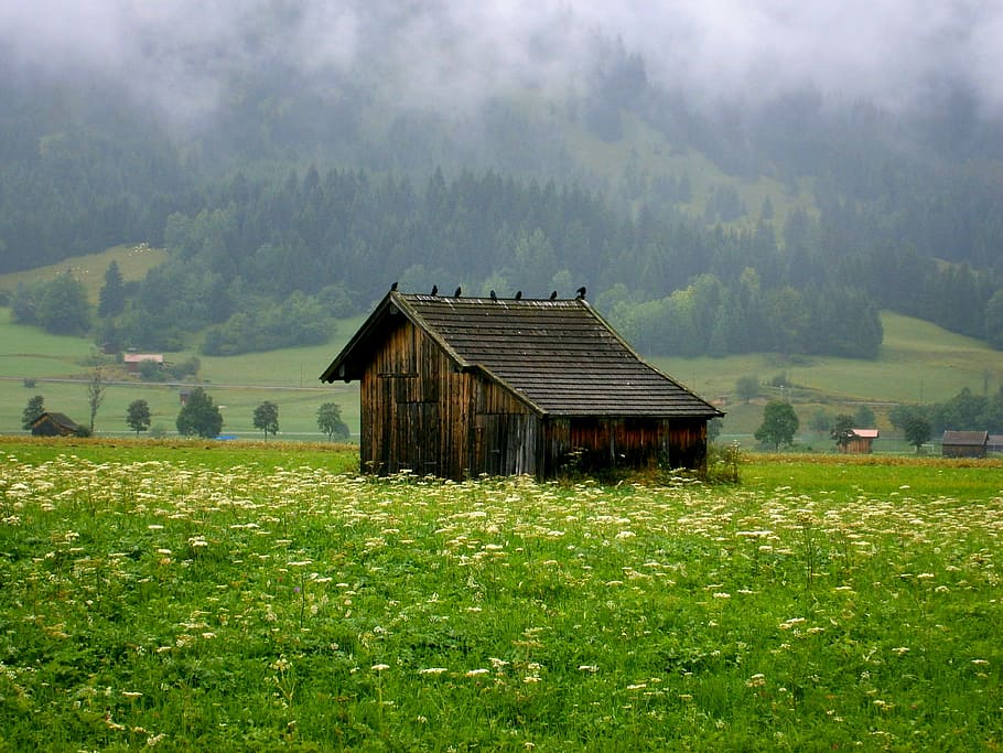 dig, crow, old barn, alphabet, architecture, fog, built structure HD wallpaper