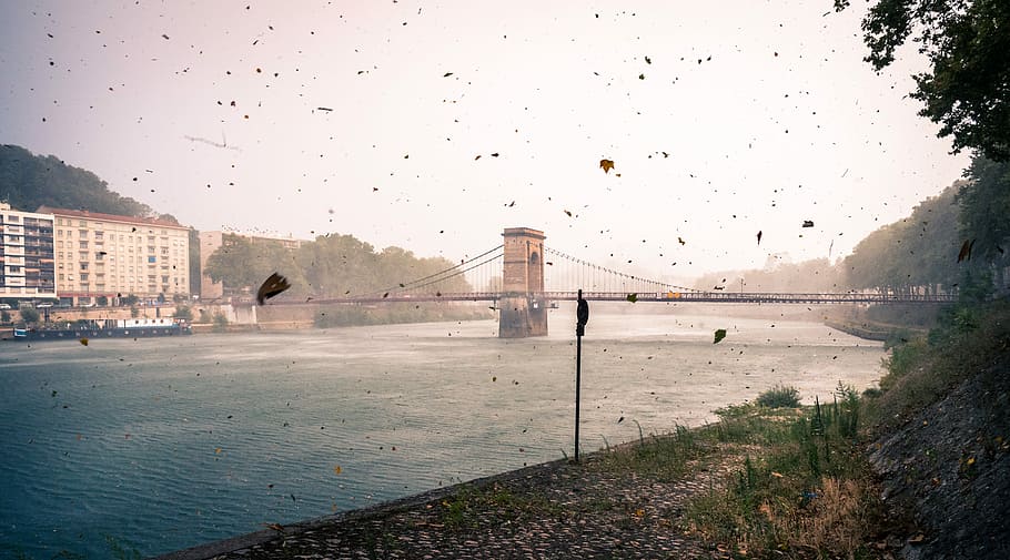 bridge across body of water near white building during daytime, photo of suspension bridge near building HD wallpaper