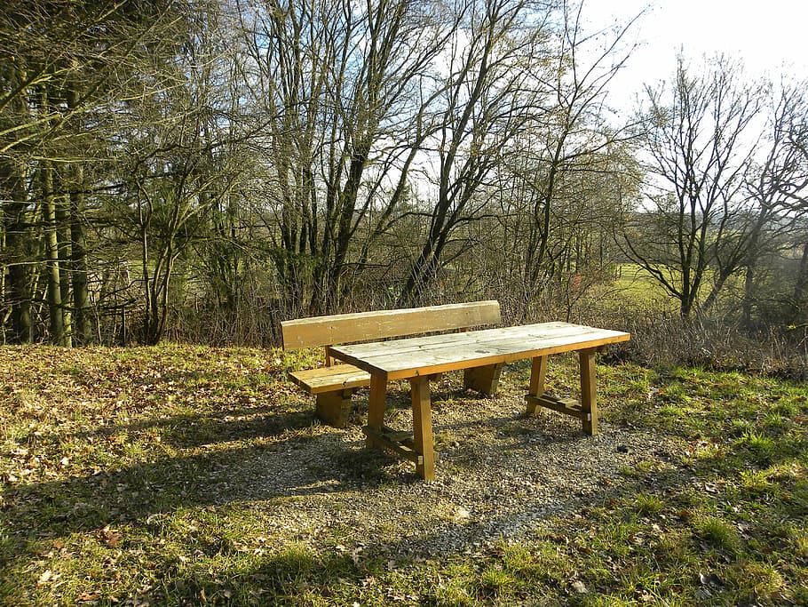 bank, table, break, tree, plant, nature, bare tree, land, seat HD wallpaper