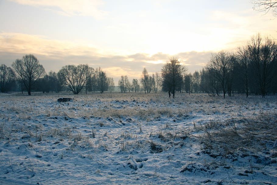 Winter, Landscape, Snow, Cold, cold temperature, nature, sunset HD wallpaper