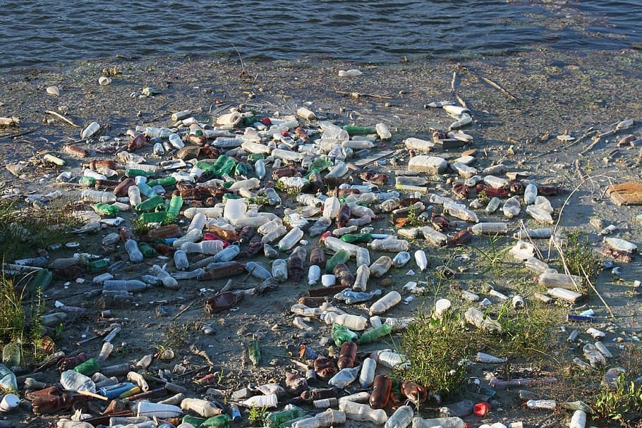assorted-color-and-type bottle lot, bottles, dump, floating, garbage