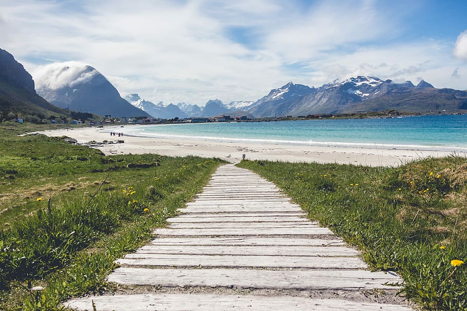 gray concrete pathway between green grass during daytime, pathway near beach shore, HD wallpaper