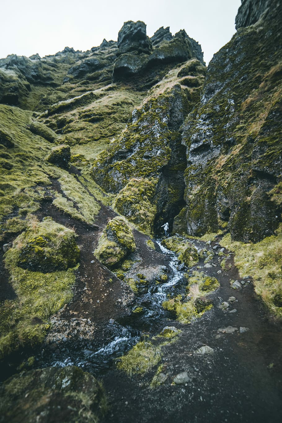 landscape photo of mountain, green covered mountain during daytime HD wallpaper