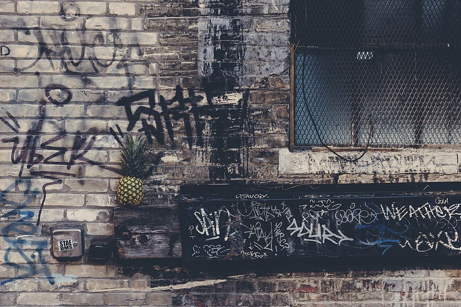 black steel window grills, bricks, building, dirty, fruit, graffiti HD wallpaper