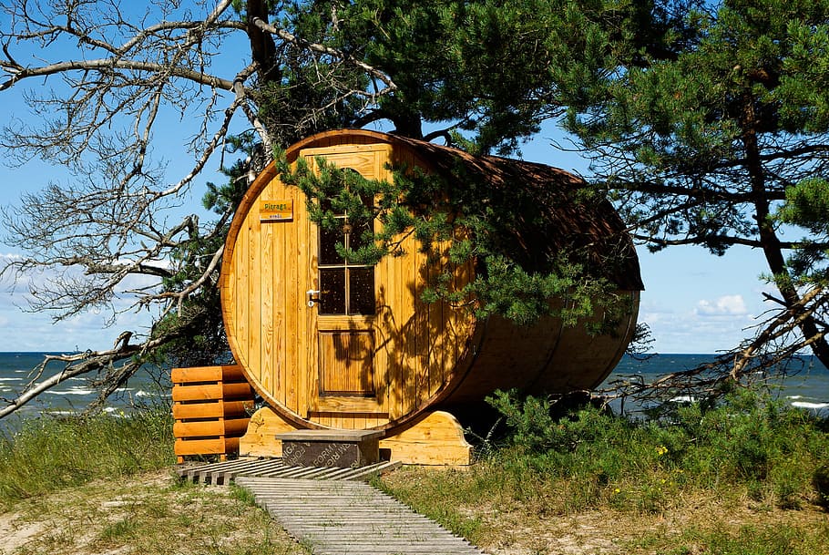 brown wooden house, latvia, cape kolka, sauna, sea, tree, plant, HD wallpaper