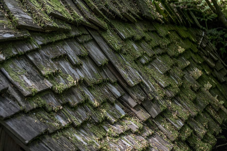 Wood, Shingle, Layer, Layered, worn, weathered, old, cedar HD wallpaper