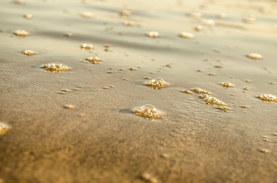 beach, boiling, bubble, circle, close-up, coastline, cool, detail HD wallpaper