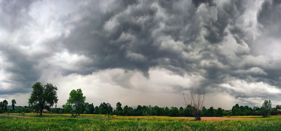 green trees and grasses under white clouds, storm, dark, power HD wallpaper