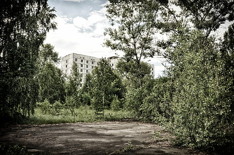 white concrete building near trees at daytime, pripyat, chernobyl HD wallpaper