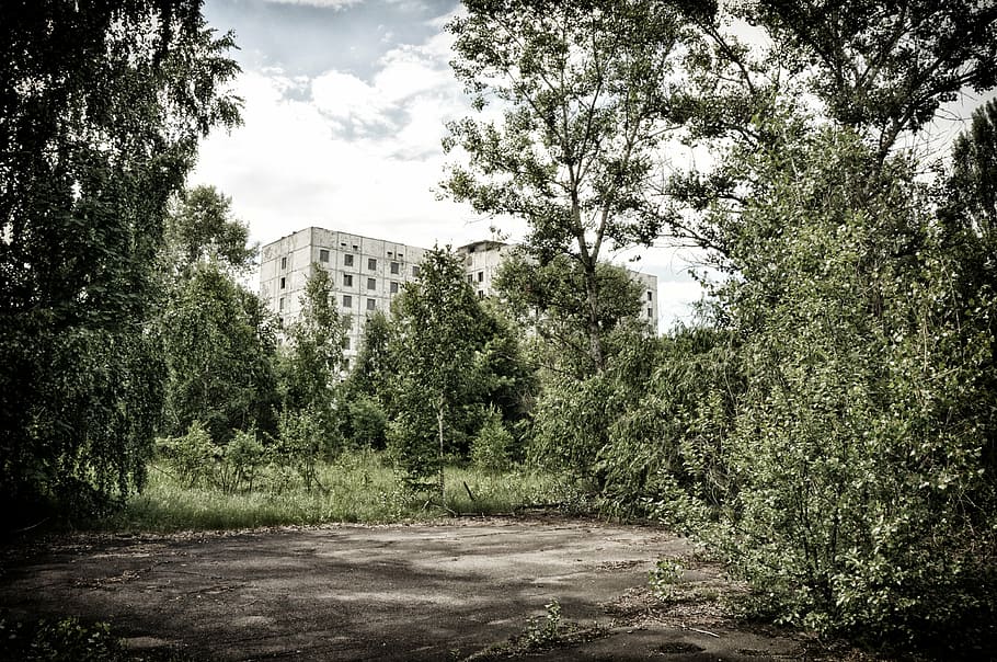 white concrete building near trees at daytime, pripyat, chernobyl HD wallpaper