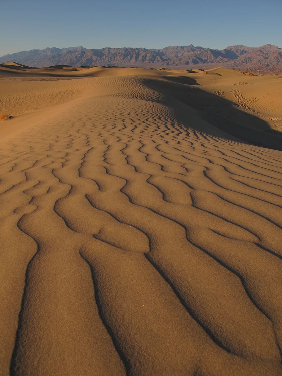 Desert, Dune, Sand, sand Dune, dry, nature, arid Climate, landscape HD wallpaper