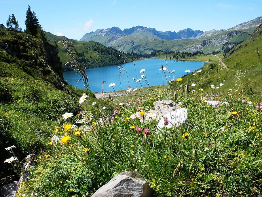 Lake, Alps, Engelberg, Switzerland, mountain, green, landscape
