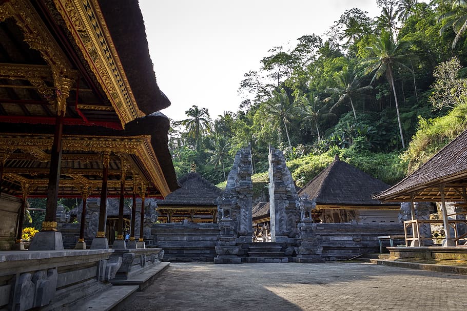 Temple, Huts, Palm Trees, Building, cabin, cottage, architecture HD wallpaper