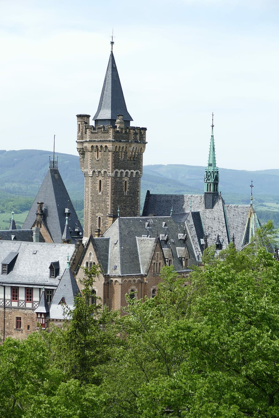 Castle, Wernigerode, Forest, Nature, middle ages, fortress HD wallpaper