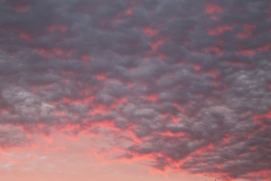 gray party clouds, clouds during golden hour, sky, pink, sunset HD wallpaper