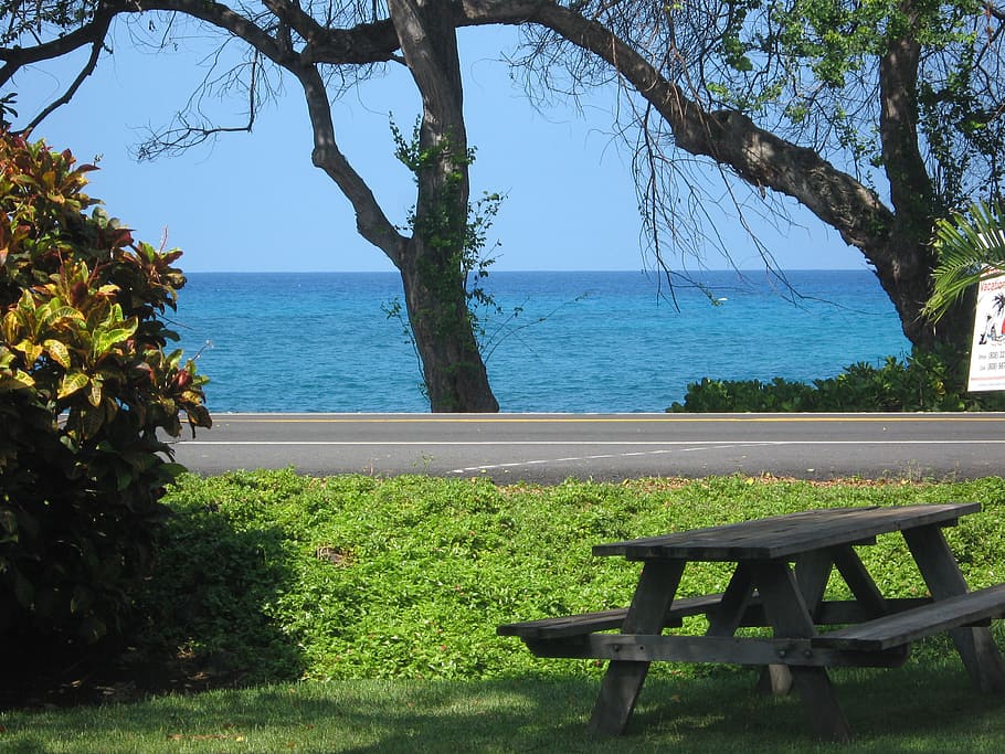 hawaii, big iland, garden, pacific, rest, break, water, tree, HD wallpaper