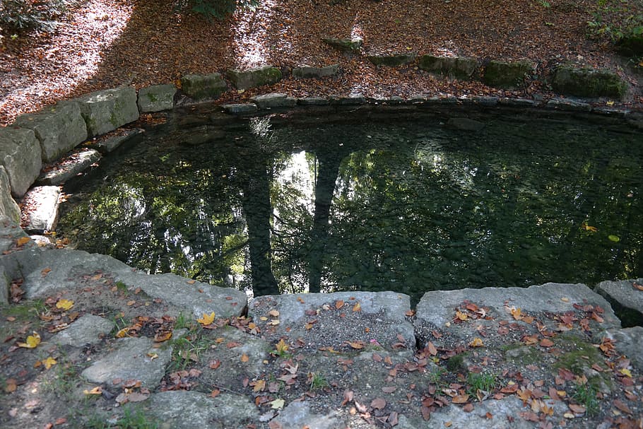 source, river, water, laupheim, schlossgarten, mirroring, castle park HD wallpaper