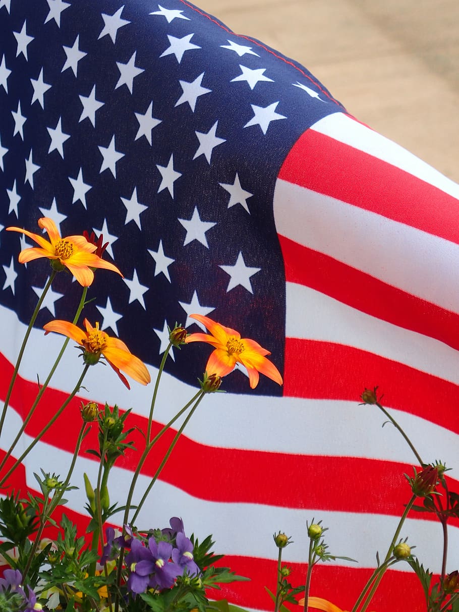 summer flowers, flag, american, red, white, holiday, patriotic, HD wallpaper