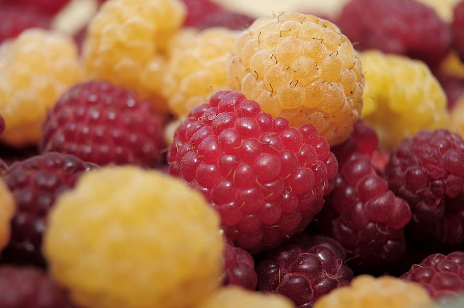 closeup photo of pile of raspberries, fruit, dessert, red, food HD wallpaper