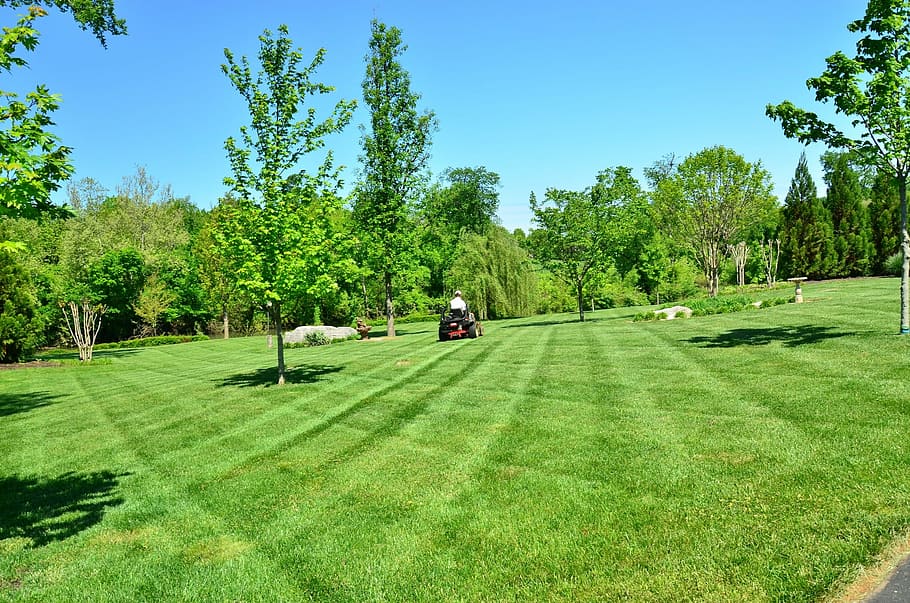 green field photo, lawn care, lawn maintenance, lawn services, HD wallpaper