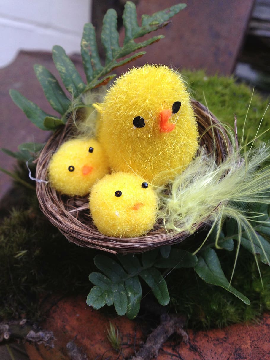 easter, chicks, toy, nest, cute, yellow, feather, fern, family HD wallpaper