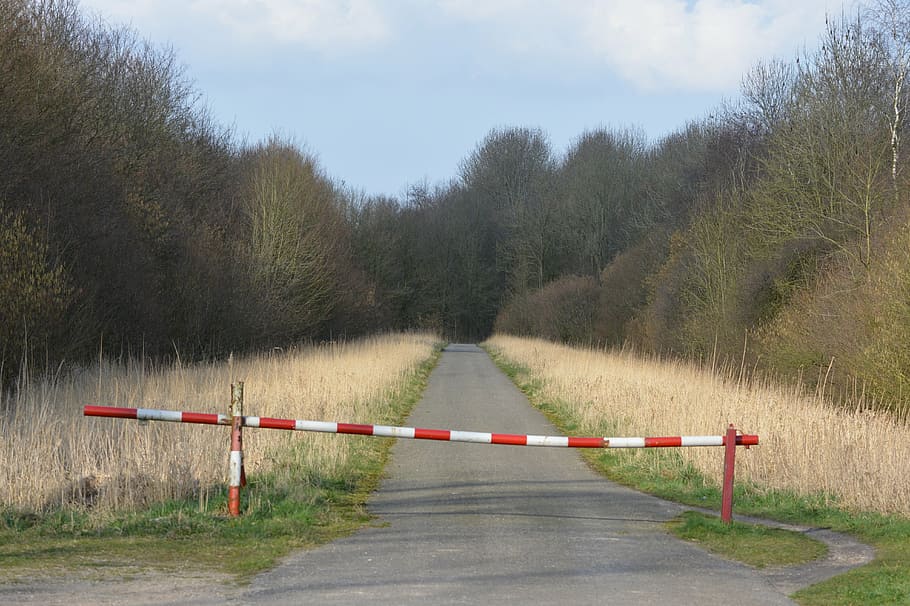 barrier gates, walking path, nature, forest, road, transportation HD wallpaper