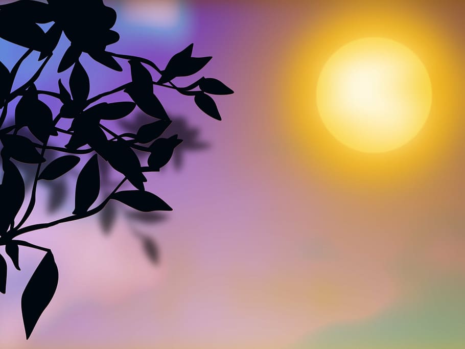 leaf silhouette under sun painting, graphics, sunset, purple, HD wallpaper