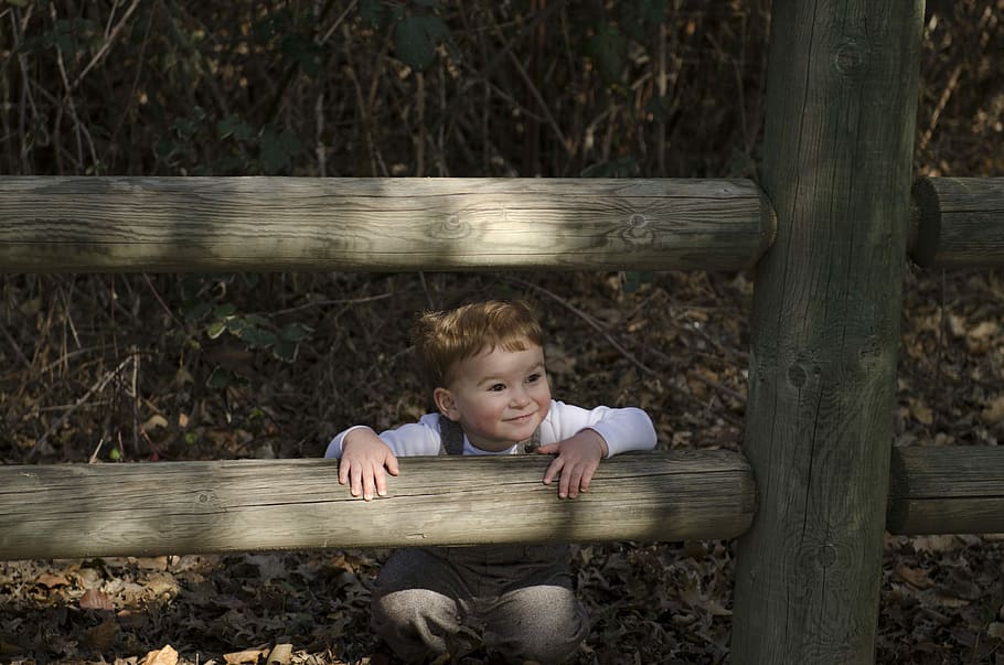 Boy, Cute, Child, childhood, one person, children only, curiosity HD wallpaper
