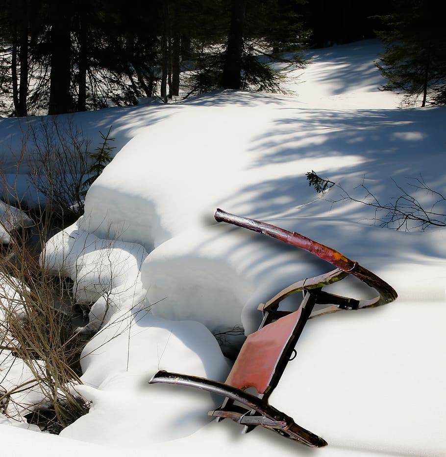 slide, winter, snow, old, historically, horny bob-sleigh, winter forest HD wallpaper