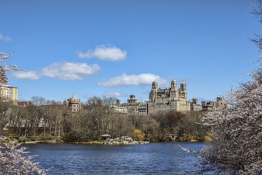 architecture, water, tree, old, sky, park, central park, new york HD wallpaper