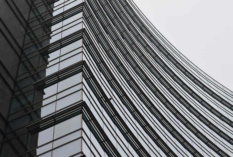 worm's eye view of tall glass building, low angle photography of high building windows HD wallpaper