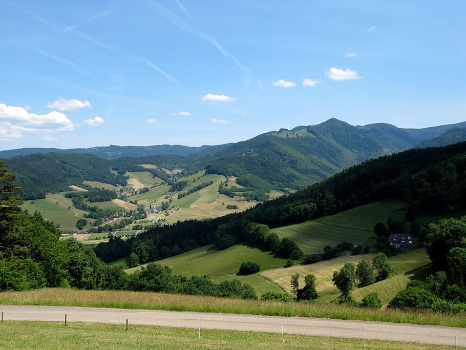 black forest, valley, high ridge, landscape, idyll, nature HD wallpaper