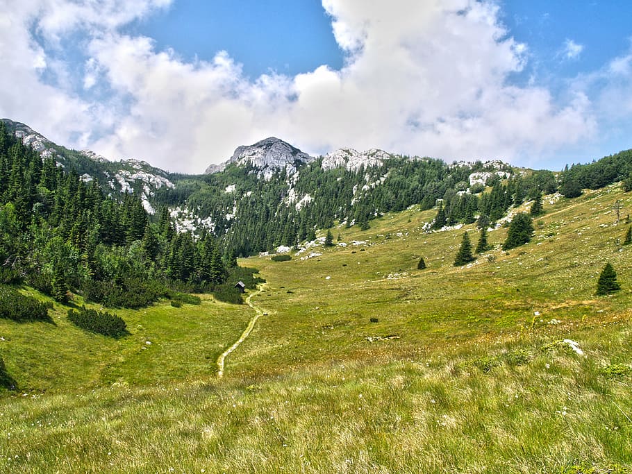 mountain, landscape, nature, sky, travel, peak, forest, natural HD wallpaper