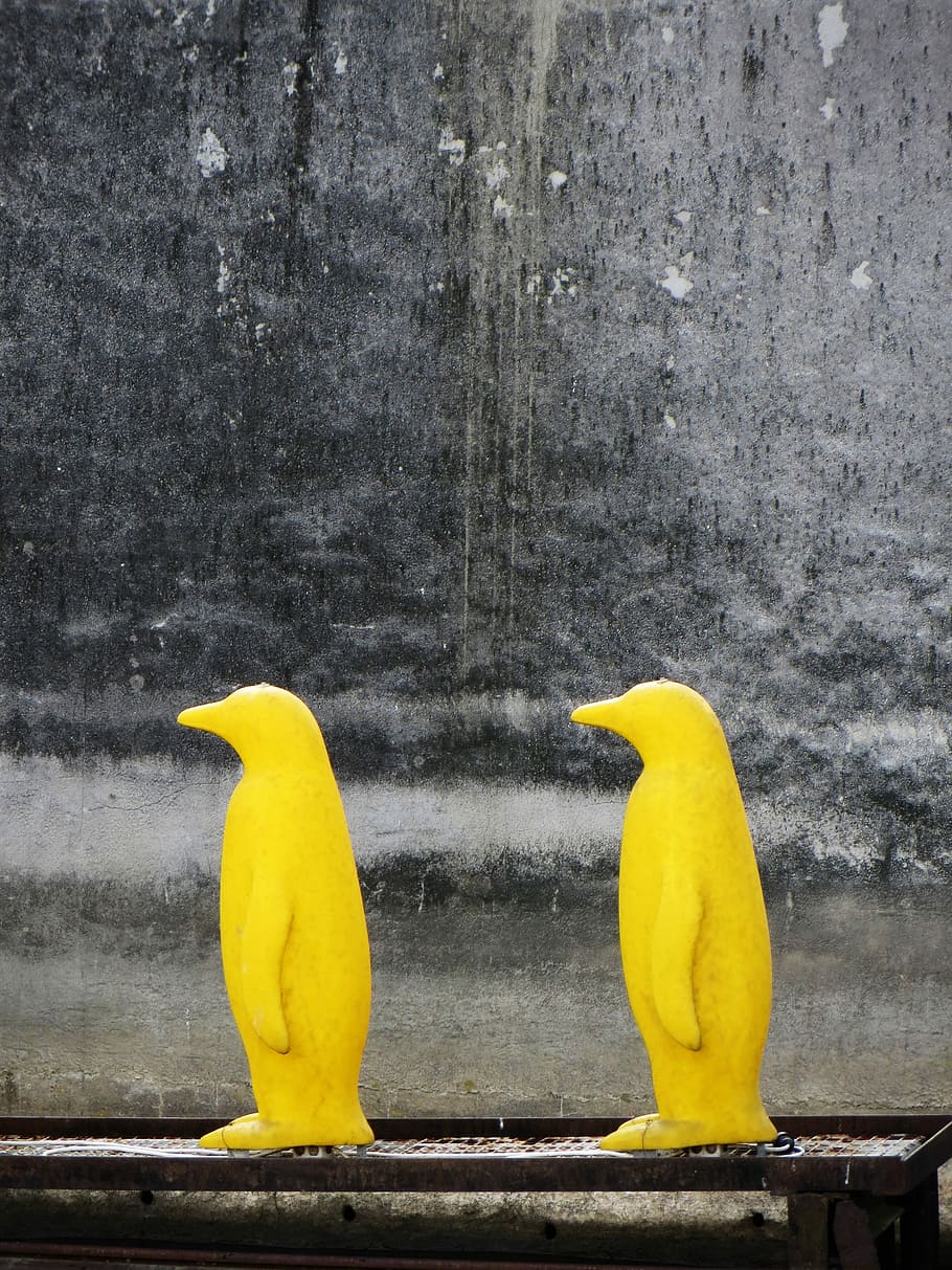 Prague, Penguins, Yellow, Wall, structure, grunge, czech republic, HD wallpaper