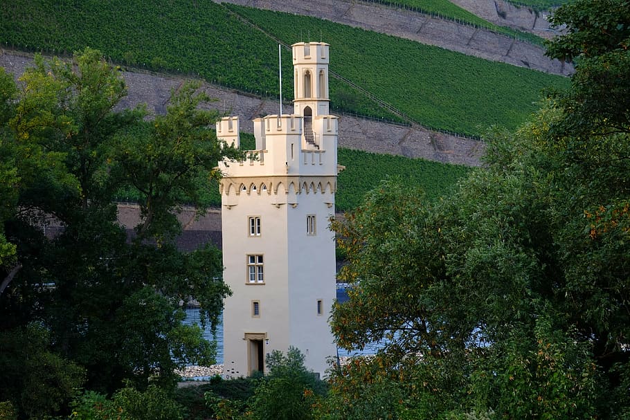 mouse tower, bingen, old, historically, imposing, historic home HD wallpaper