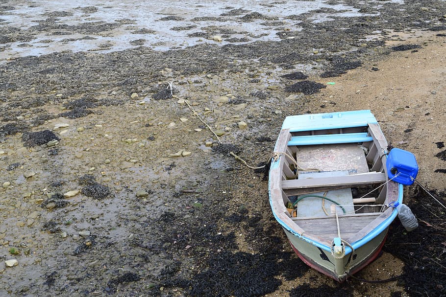 boat, beach, nature, sand, sea, ocean, wood, water, old, land HD wallpaper