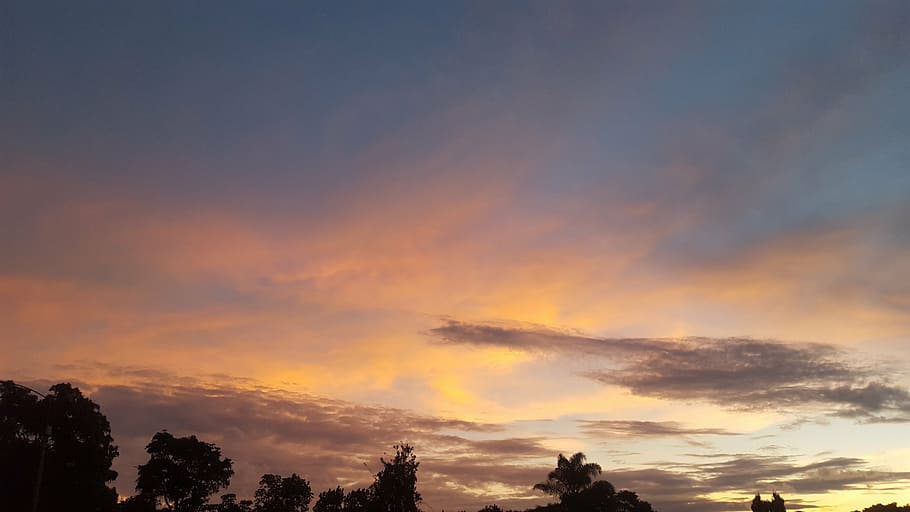 sunset, sky, cloud, cloud - sky, tree, beauty in nature, scenics - nature HD wallpaper