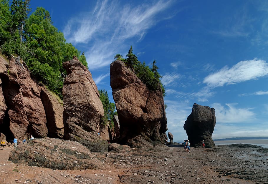Fundy - Wallpapers - Wallpaper Cave