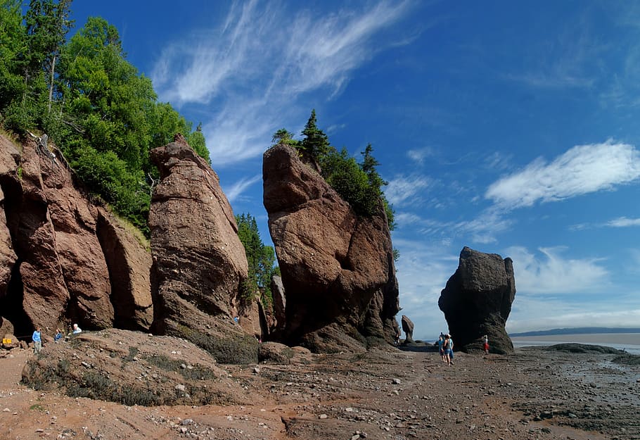 Hopewell Rocks, Seashore, Coastline, landscape, coastal, bay