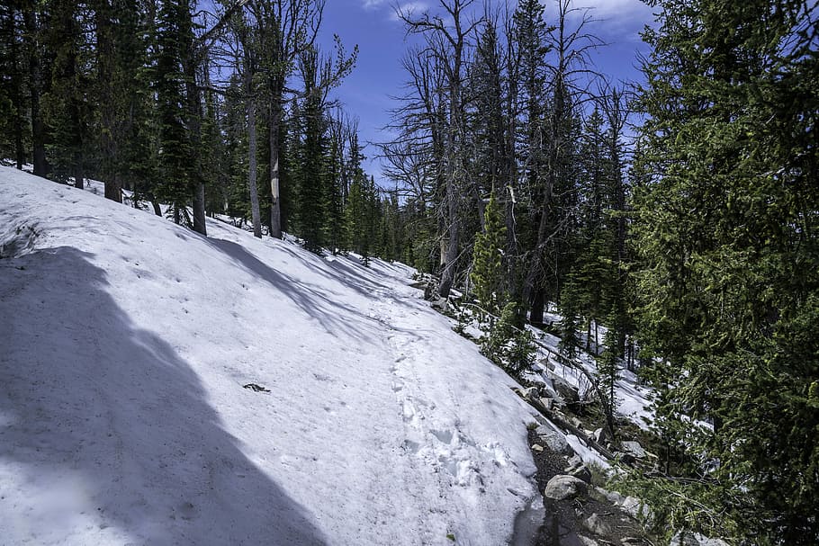 Elkhorn Mountains 1080P, 2K, 4K, 5K HD wallpapers free download ...